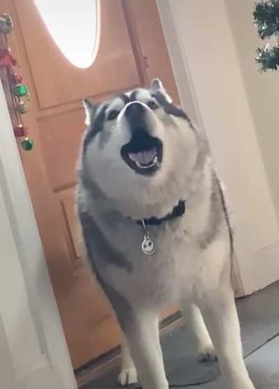 Let me sing you the song of my people