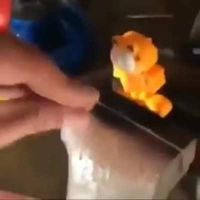 Garfield