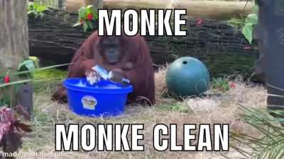 Monke cleaning
