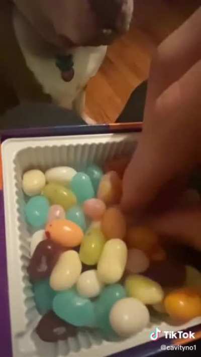 Perfectly cut jelly beans