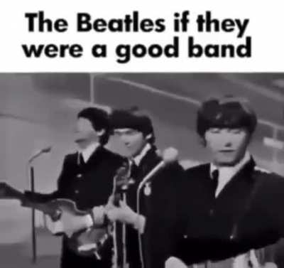 The Beetle