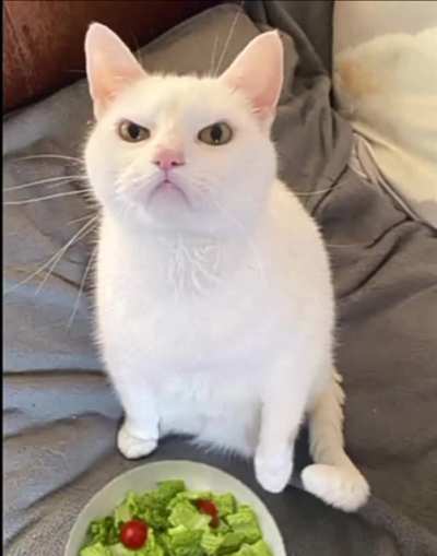 😾