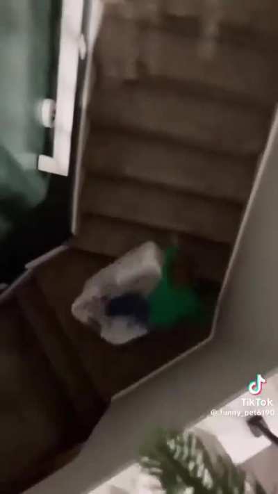 That had to hurt