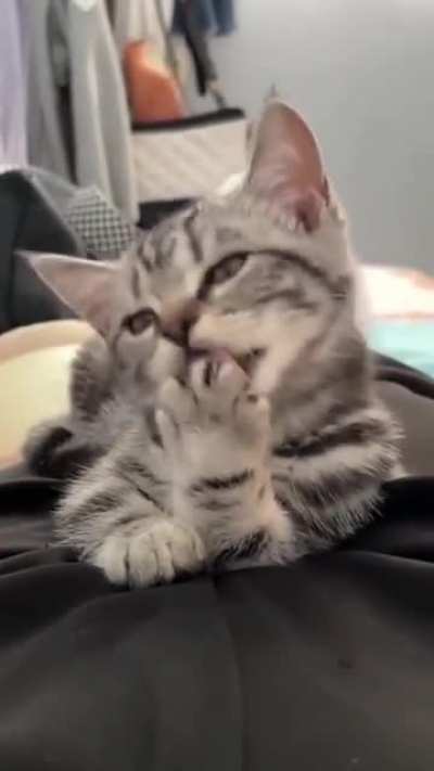 That wink