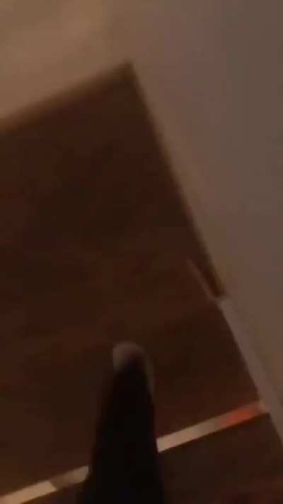 WTF?