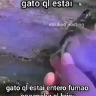 ¡Hola!