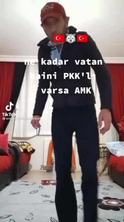 🇹🇷🐺🇹🇷 Ne kadar vatan haini olmayan PKK'lı varsa hepsinin AMK