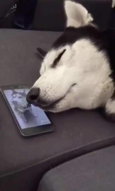 Sleep howling