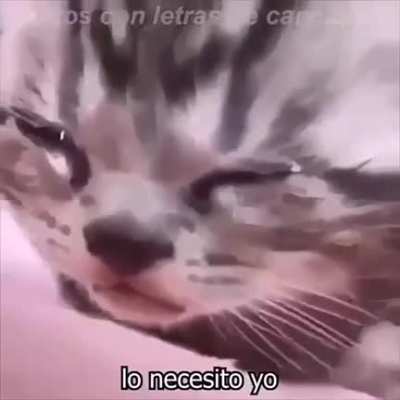 ;-;