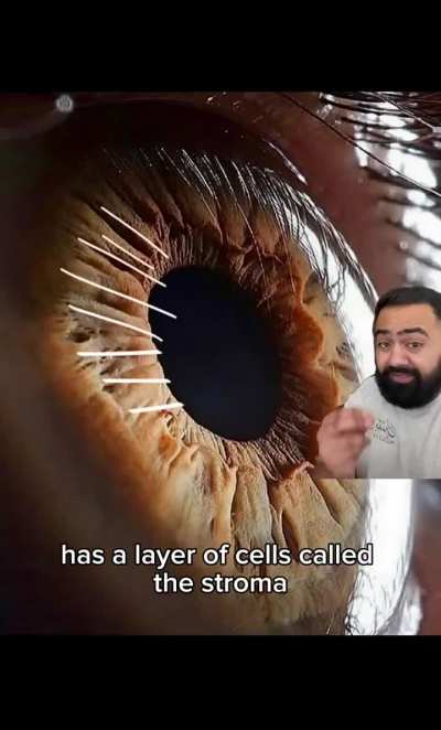 Gray Eyes