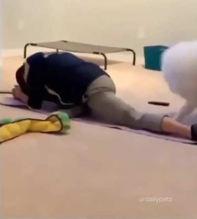 Wait for it…