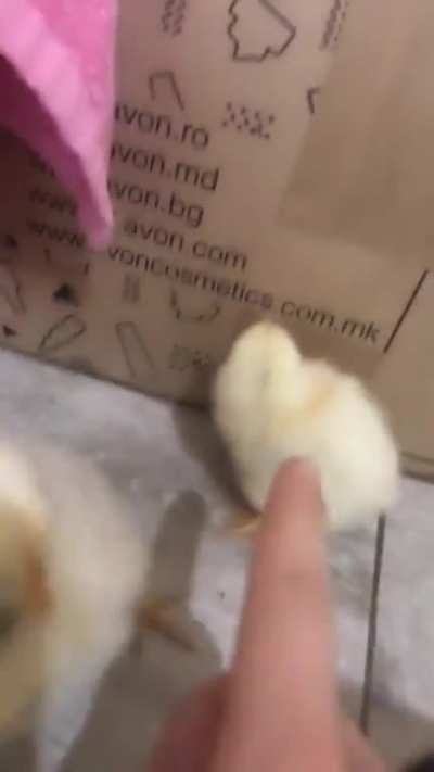 Sound on
