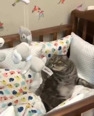 WTF ?
