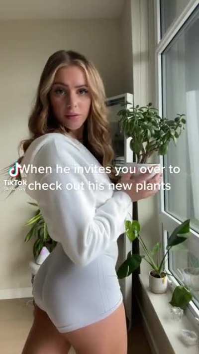 🍑
