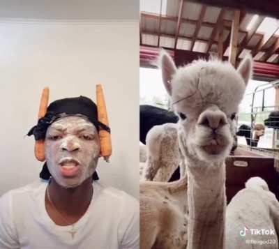 Twins!