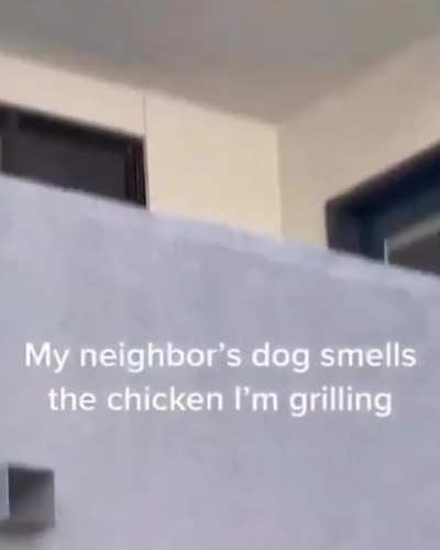 I can has some?