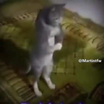 Afganistán: