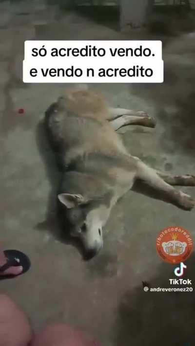 RIP Paul 🫡