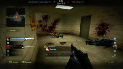 CS:GO Pro gameplay