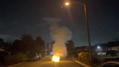 Are you really sure it's a firework?