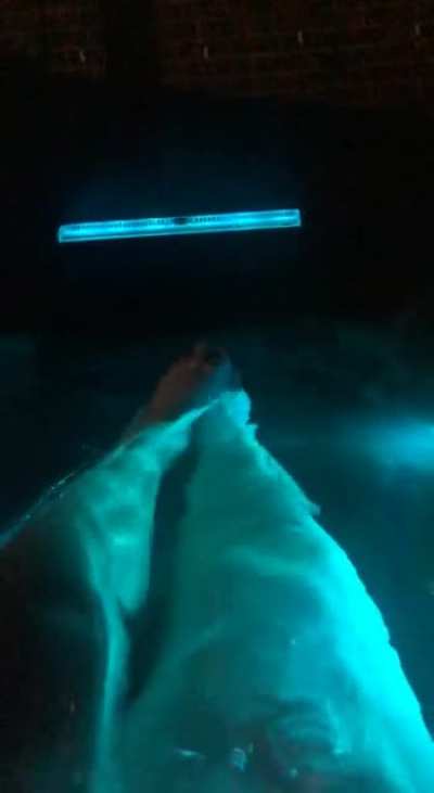Spa nights are good for the sole