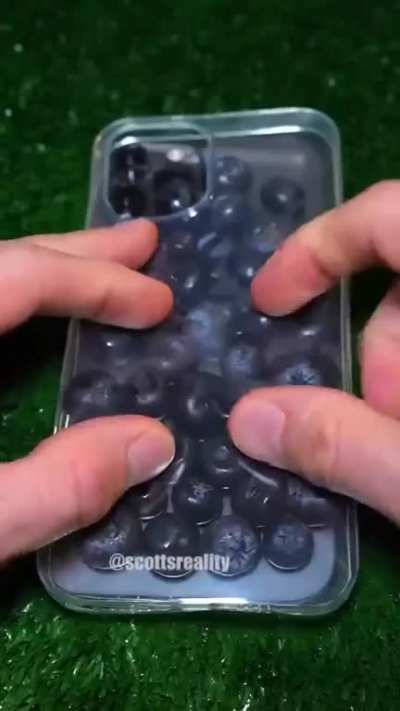 Fruity Case