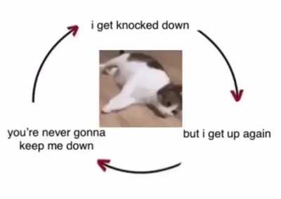 literally me