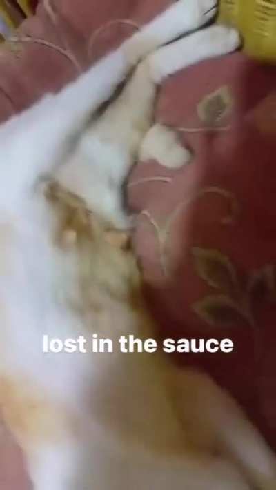 Sauced wunk