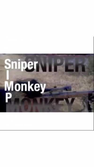 I’ve heard he has over 300 confirmed kills