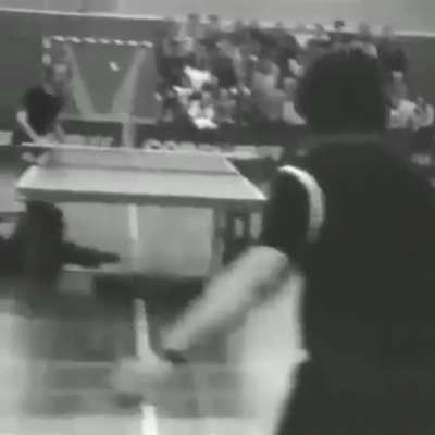 Table tennis in Netherlands, 1978