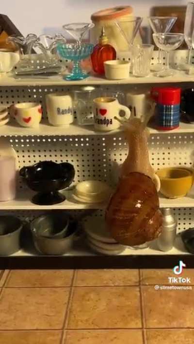 Mini thrift store