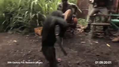 Kkkkkkkkkkk Alô ibama?