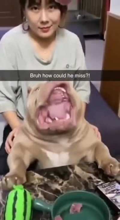 How could he miss?