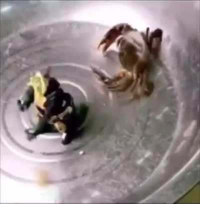 crab vs bot
