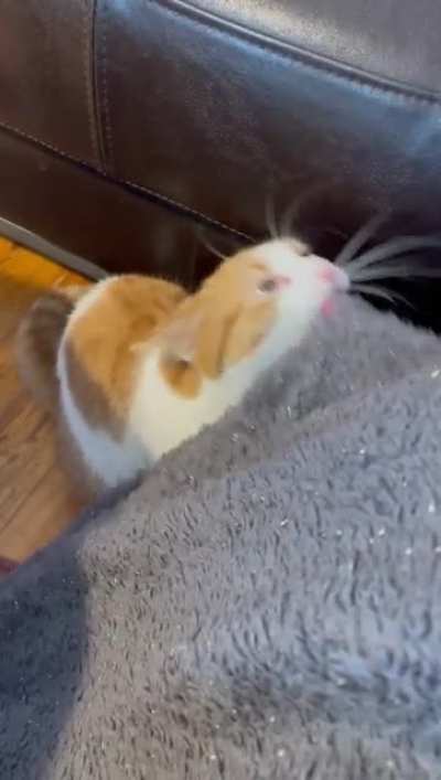 Mmmm blanket