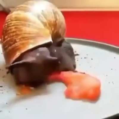heavy eating