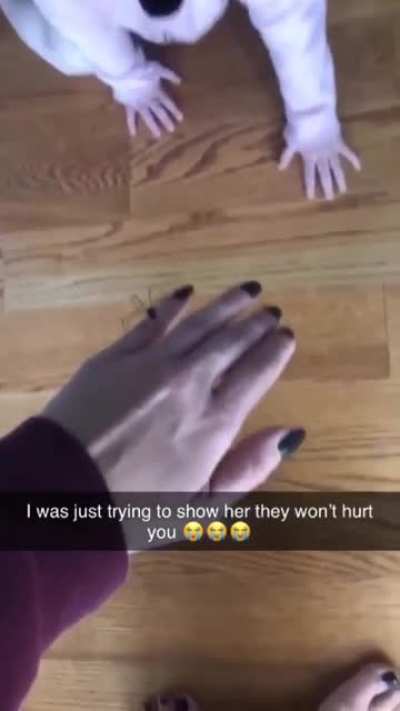 My friend attempted to introduce her daughter to Daddy Long Legs