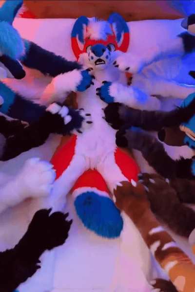 furry_irl