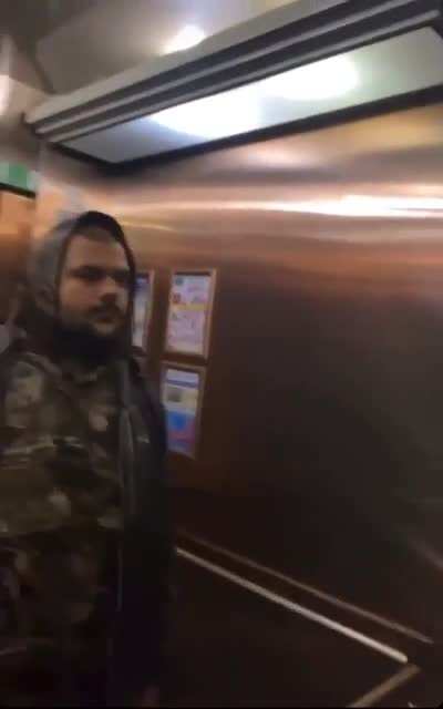 AYI BETİMLEMESİ KULLANILAN POST GÖRÜNCE