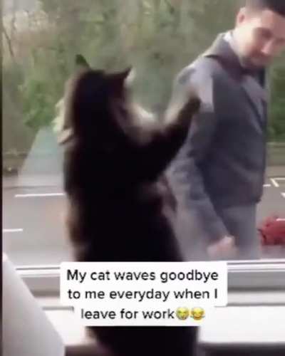 this made my day