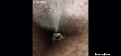 Made me flinch. Sorry if it’s a repost