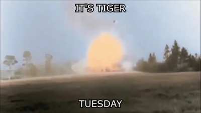 It's Tuesday!!!!
