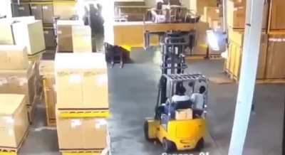 Laying on load while being forklifted up