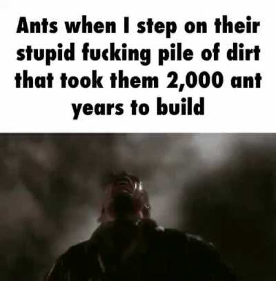 Rule :(