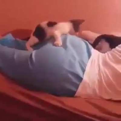 Thanks, I hate cats