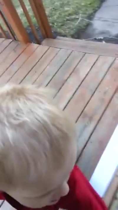 Can i pet your titties