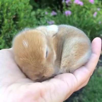 Cuteness overload