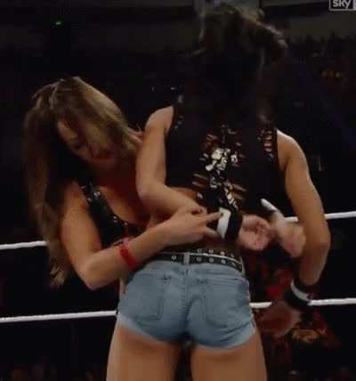 Nikki Bella and AJ Lee