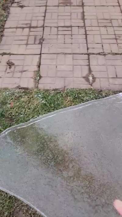 I don't have words to describe how happy I was when I saw the ice