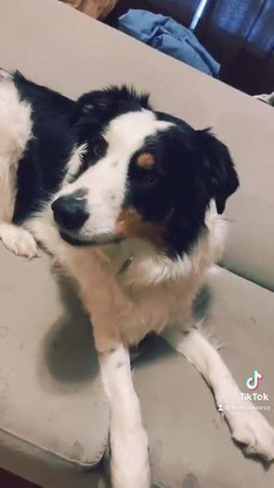Toby loves to sing but the baby thinks he needs to work on his pitch